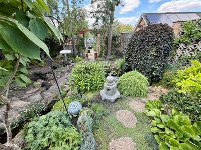 Picture 26